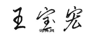 駱恆光王寶宏行書個性簽名怎么寫