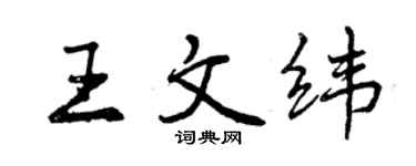 曾慶福王文緯行書個性簽名怎么寫