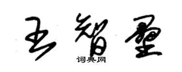 朱錫榮王智壘草書個性簽名怎么寫