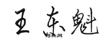 駱恆光王東魁行書個性簽名怎么寫