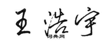 駱恆光王浩宇行書個性簽名怎么寫