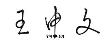 駱恆光王申文草書個性簽名怎么寫