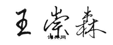 駱恆光王崇森行書個性簽名怎么寫