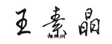 駱恆光王素晶行書個性簽名怎么寫