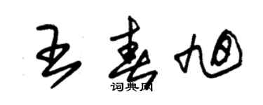 朱錫榮王春旭草書個性簽名怎么寫