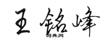 駱恆光王銘峰行書個性簽名怎么寫