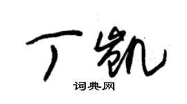 朱錫榮丁凱草書個性簽名怎么寫