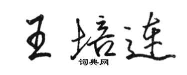 駱恆光王培連行書個性簽名怎么寫
