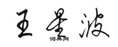 駱恆光王星波行書個性簽名怎么寫