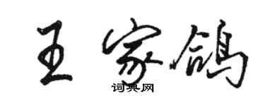 駱恆光王家鴿行書個性簽名怎么寫