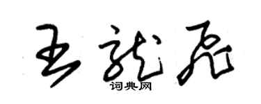 朱錫榮王龍飛草書個性簽名怎么寫