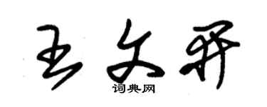 朱錫榮王文開草書個性簽名怎么寫