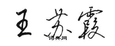 駱恆光王蘇霞行書個性簽名怎么寫