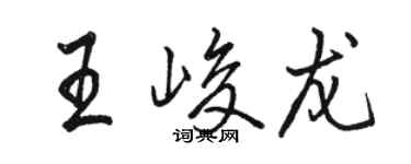 駱恆光王峻龍行書個性簽名怎么寫