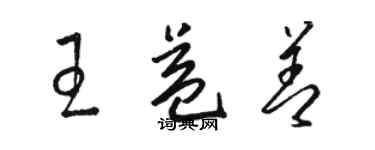 駱恆光王益善草書個性簽名怎么寫