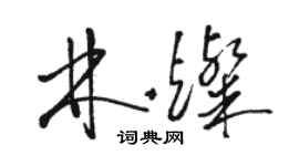 駱恆光林燦草書個性簽名怎么寫