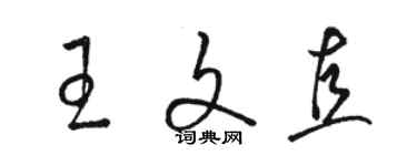 駱恆光王文直草書個性簽名怎么寫