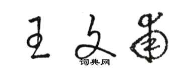 駱恆光王文甫草書個性簽名怎么寫