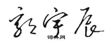 駱恆光郭宇辰草書個性簽名怎么寫