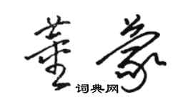 駱恆光董蒙草書個性簽名怎么寫