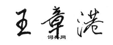 駱恆光王章港行書個性簽名怎么寫