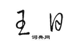 駱恆光王日草書個性簽名怎么寫