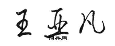 駱恆光王亞凡行書個性簽名怎么寫