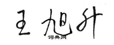 駱恆光王旭升草書個性簽名怎么寫