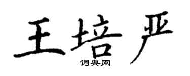 丁謙王培嚴楷書個性簽名怎么寫
