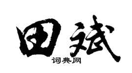 胡問遂田斌行書個性簽名怎么寫