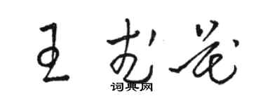 駱恆光王武花草書個性簽名怎么寫