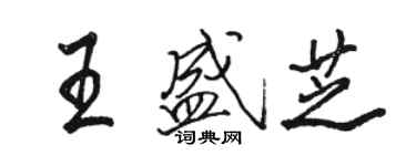 駱恆光王盛芝行書個性簽名怎么寫