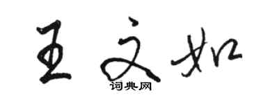 駱恆光王文如行書個性簽名怎么寫