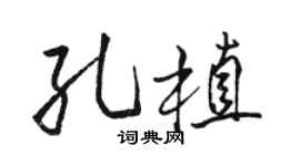 駱恆光孔植行書個性簽名怎么寫