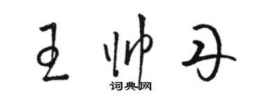 駱恆光王帥丹草書個性簽名怎么寫