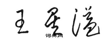 駱恆光王星溢草書個性簽名怎么寫