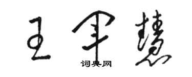 駱恆光王軍慧草書個性簽名怎么寫