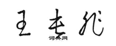 駱恆光王屯非草書個性簽名怎么寫