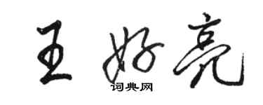 駱恆光王好亮行書個性簽名怎么寫