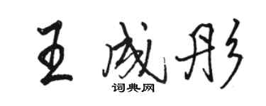 駱恆光王成彤行書個性簽名怎么寫