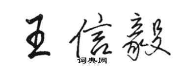 駱恆光王信毅行書個性簽名怎么寫