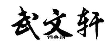 胡問遂武文軒行書個性簽名怎么寫