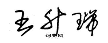 朱錫榮王升瑞草書個性簽名怎么寫