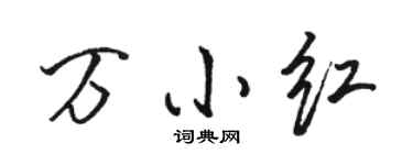 駱恆光萬小紅行書個性簽名怎么寫