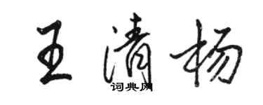 駱恆光王清楊行書個性簽名怎么寫