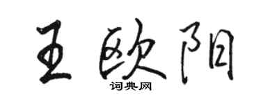 駱恆光王歐陽行書個性簽名怎么寫