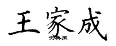 丁謙王家成楷書個性簽名怎么寫