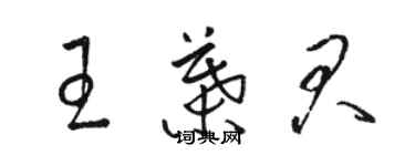 駱恆光王葉君草書個性簽名怎么寫