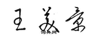 駱恆光王美景草書個性簽名怎么寫