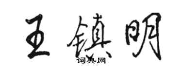 駱恆光王鎮明行書個性簽名怎么寫